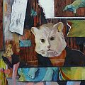 Nick Scrimenti - Cat House